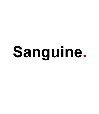 Company Logo For Sanguine production house Dubai'