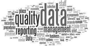 Data Quality Management Market