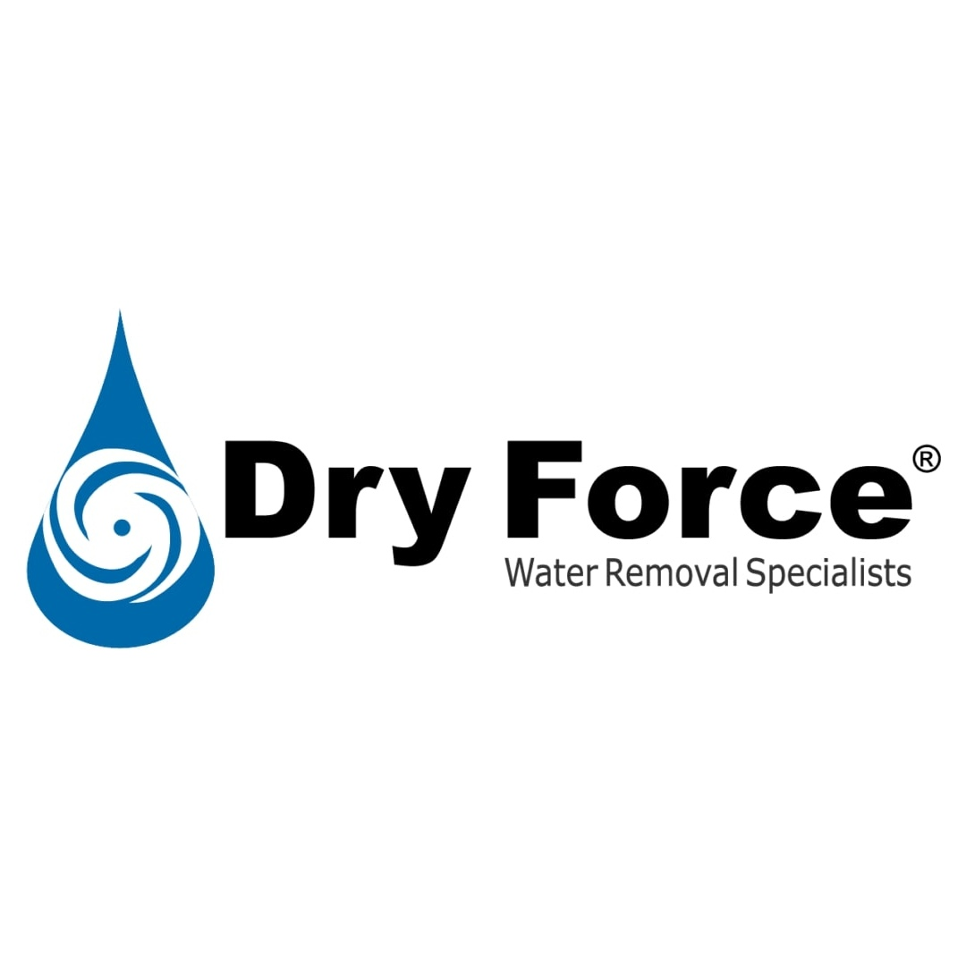 Dry Force'