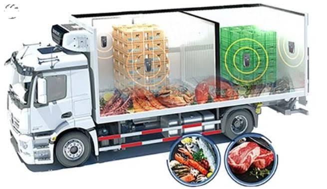 Perishable Goods Transportation Market'