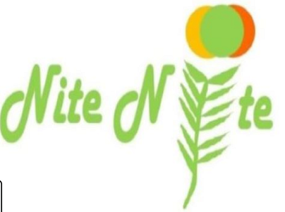 Company Logo For Nite Nite'