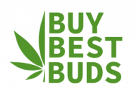 Buy Best Buds Logo