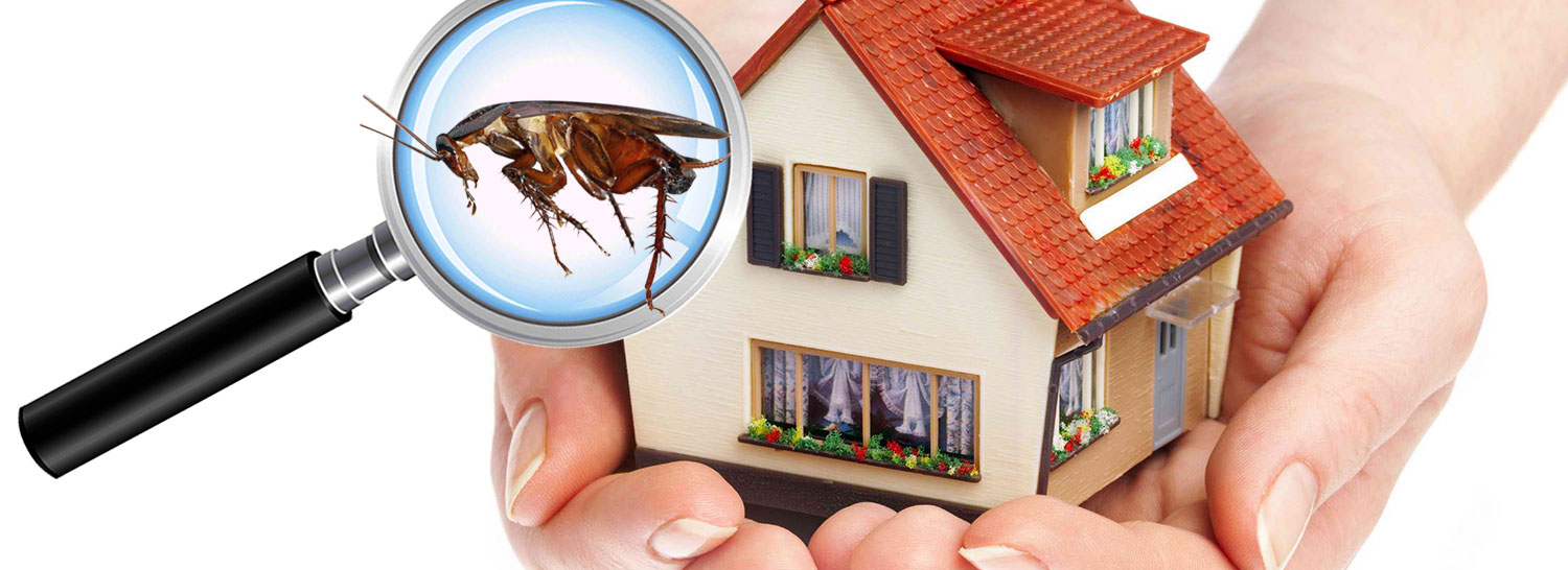 Pest Control Solutions Market'