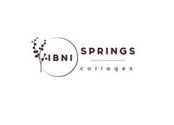 Company Logo For IBNISPRING'