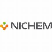 Nichemsolutions Logo