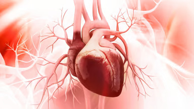 Hypertrophic Cardiomyopathy Therapeutics Market'