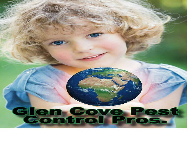 Glen Cove Pest Control Pros'