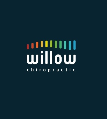 Willow Chiropractic - Bedminster Logo