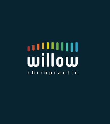 Company Logo For Willow Chiropractic - Bedminster'