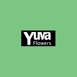 Company Logo For YuvaFlowers'