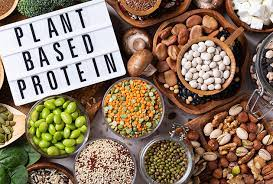 Plant-Based Protein'