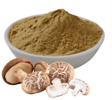 Shiitake Extracts