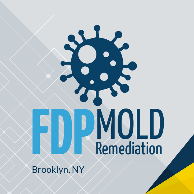 Company Logo For FDP Mold Remediation of Brooklyn'