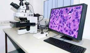 Digital Pathology Market