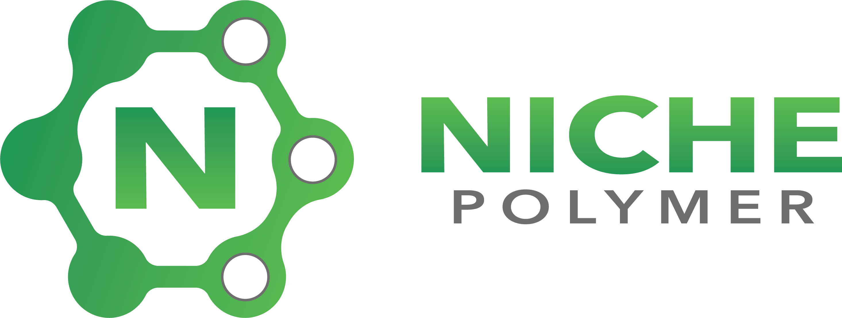 Niche Polymer Logo