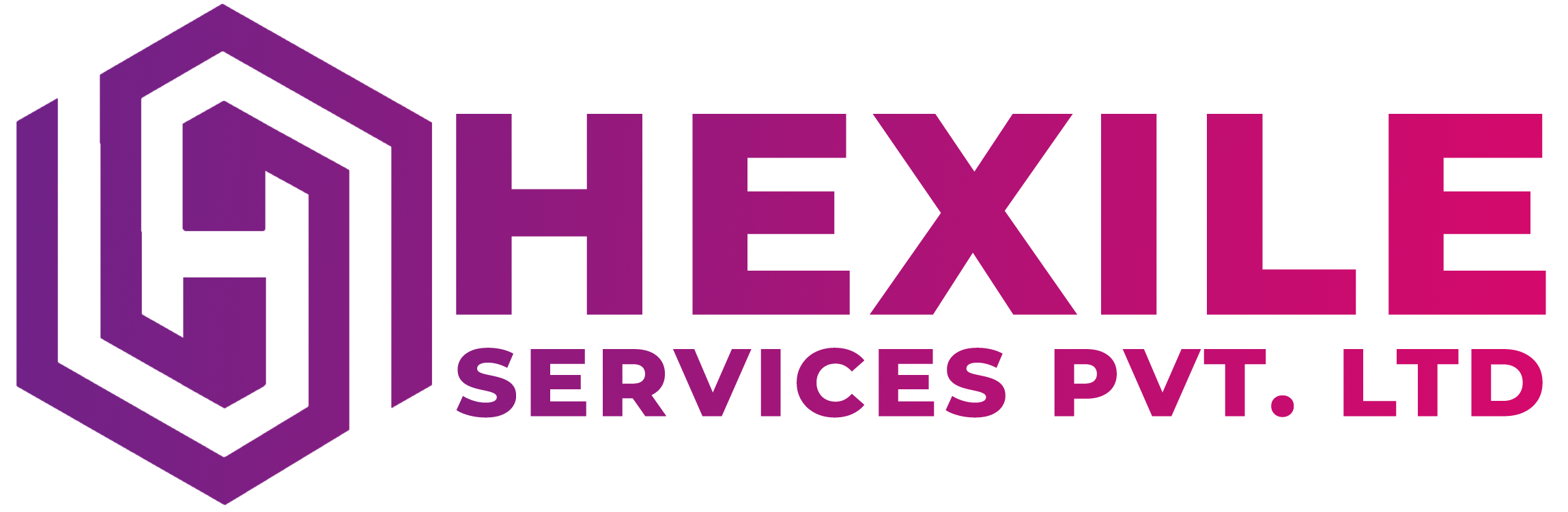 Company Logo For Hexile Services Pvt.Ltd'