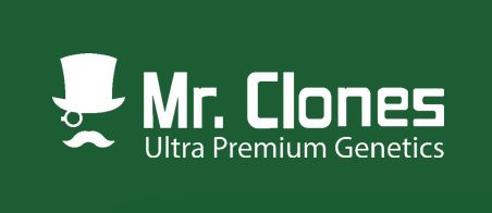 Company Logo For Mr. Clones'