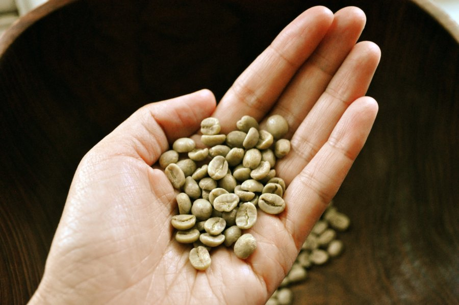 Green Coffee Bean Extract'