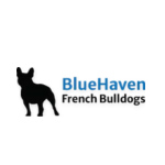 Bluehaven French Bulldogs Logo