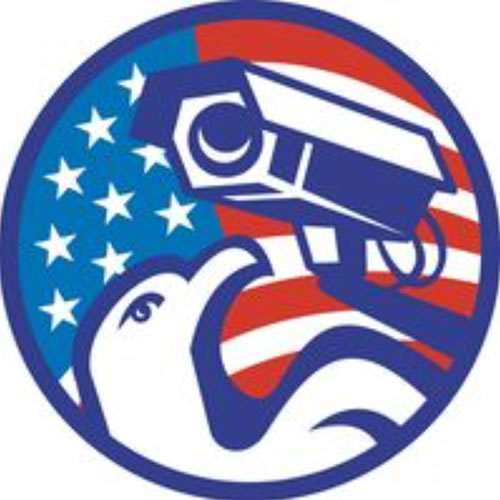 Company Logo For Patriot Security Alarms'