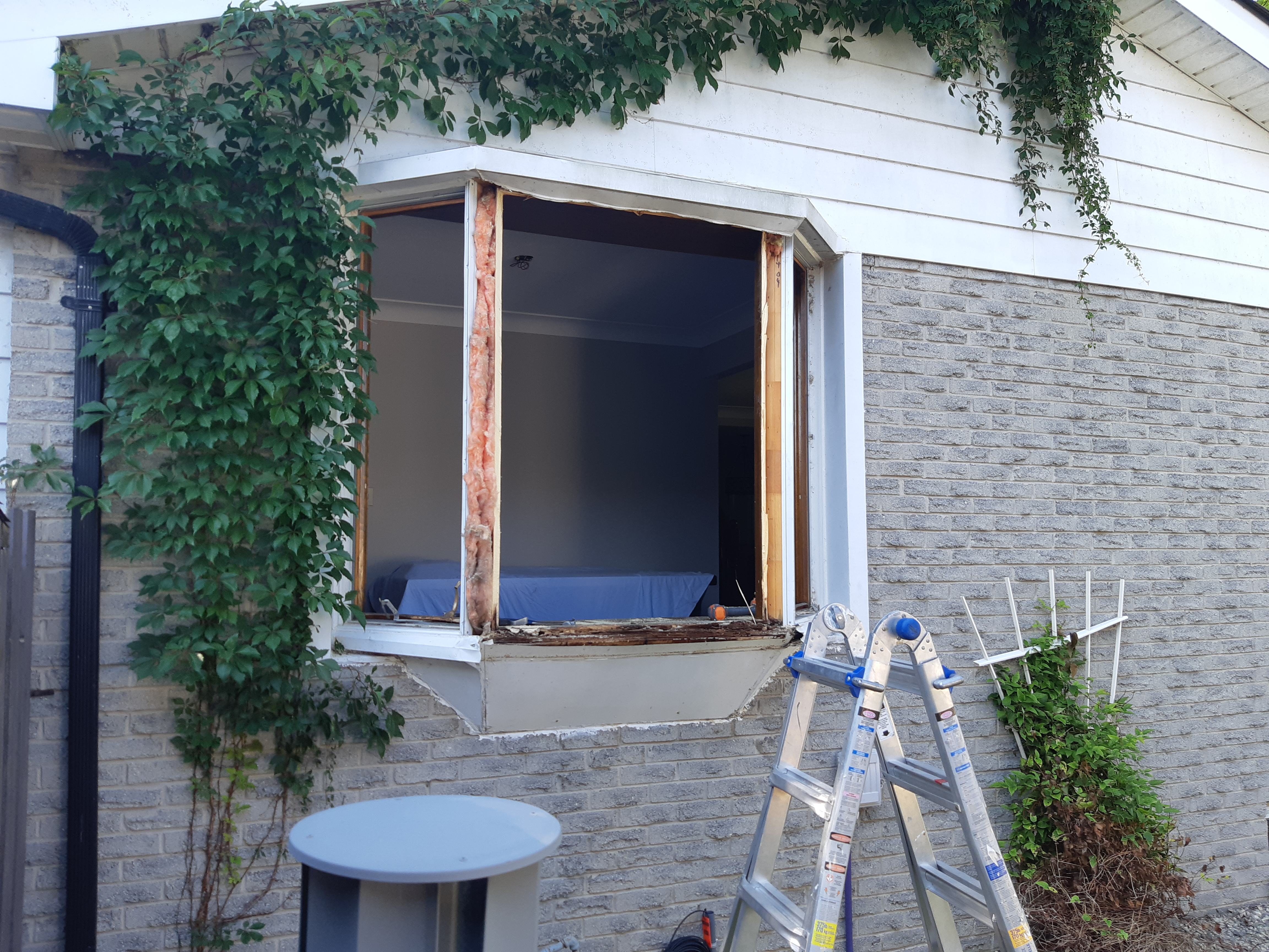 Window Replacement Windsor'