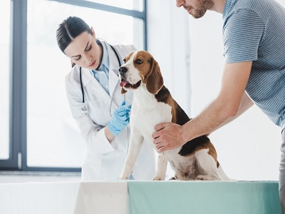 Veterinary Services Market'