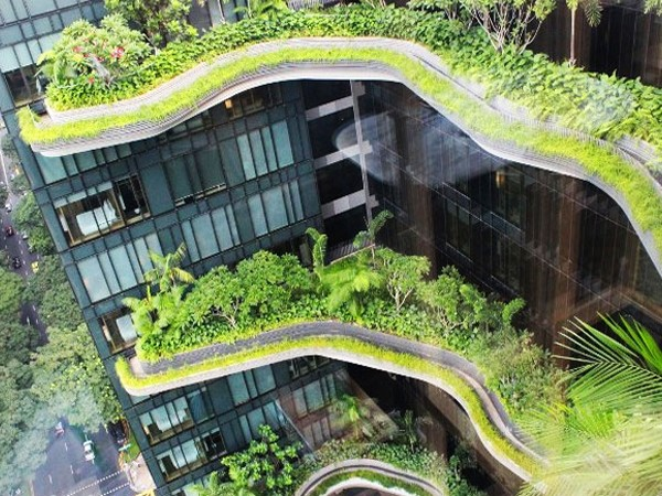 Vertical Garden Construction Market