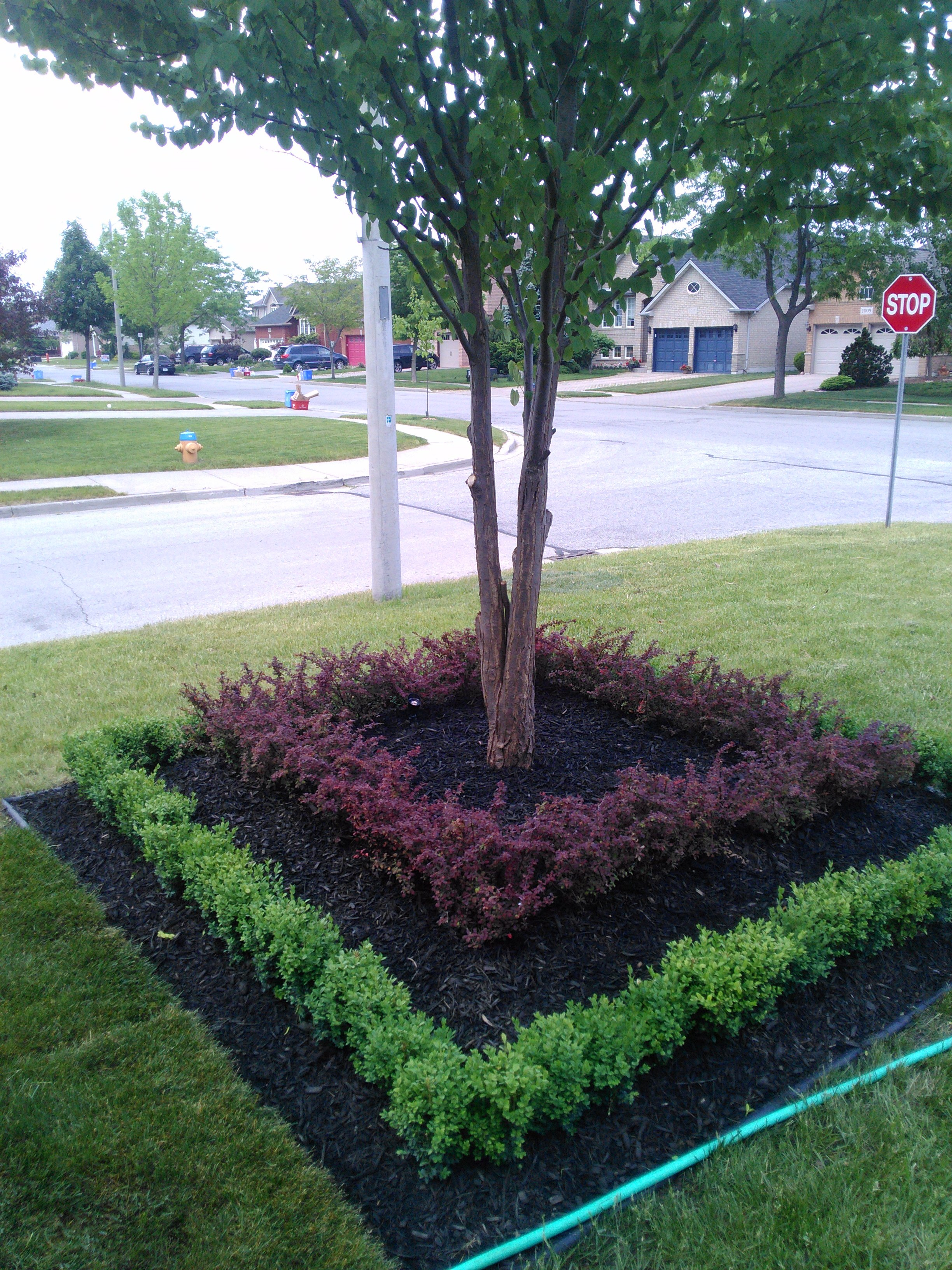 Commercial Landscaping'