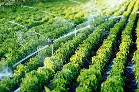 Micro Irrigation Systems Market'