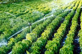 Micro Irrigation Systems Market