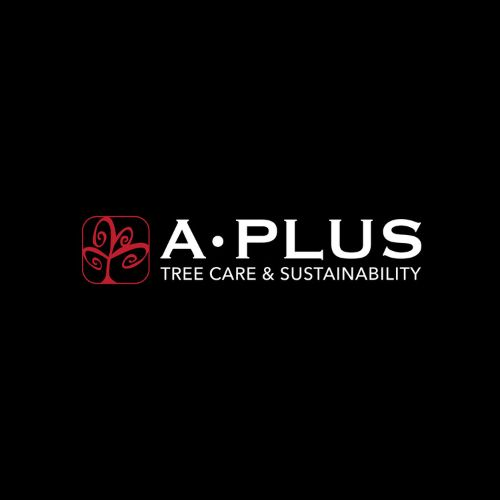 A Plus Tree, LLC Logo
