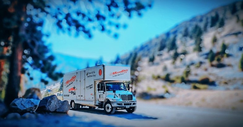 Company Logo For MicroShip, Inc. (Small Move Company)'