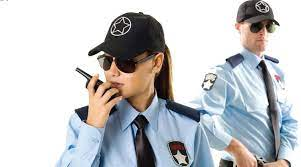 Private & Personal Security Services Market
