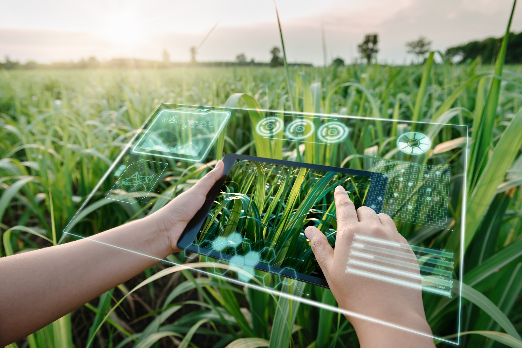 AI in Agriculture Market