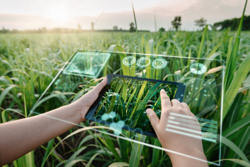 AI in Agriculture Market'