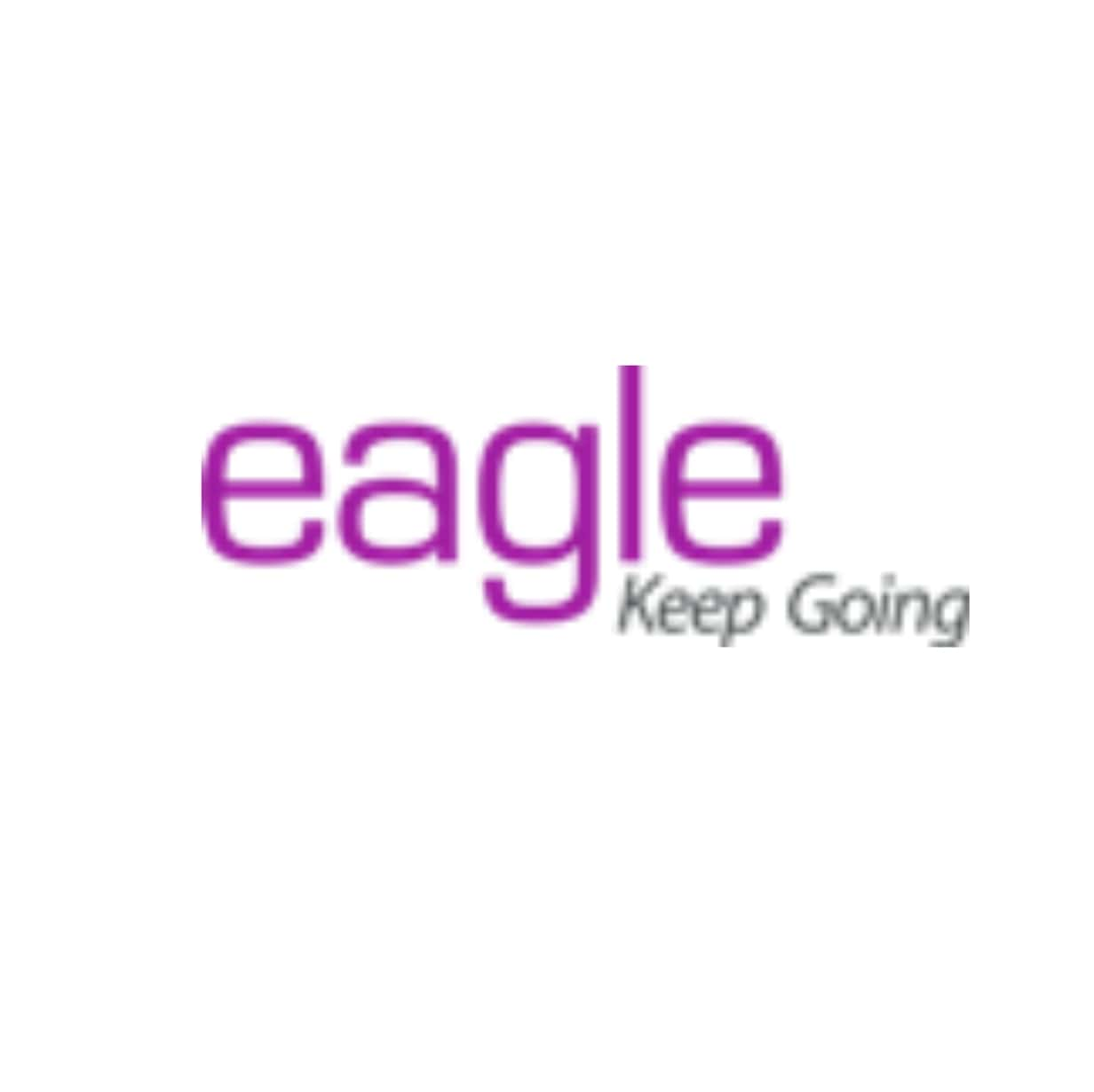 Company Logo For Eagle Information Systems Pvt. Ltd.'