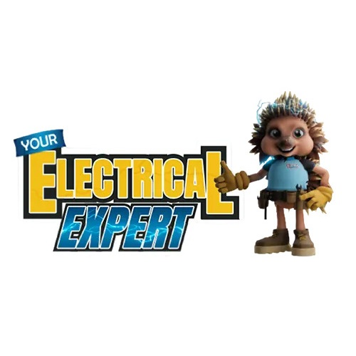 Company Logo For Your Electrical Expert'