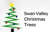 Company Logo For Swan Valley Christmas Trees'