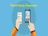 Third Party Payment Market