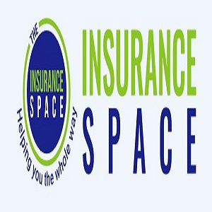 Company Logo For The Insurance Space'