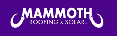 Company Logo For Mammoth Roofing And Solar Of San Antonio'