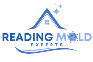 Mold Remediation Reading Solutions Logo