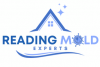 Mold Remediation Reading Solutions