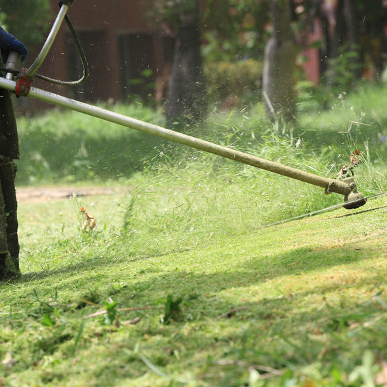 Hedge Trimming'