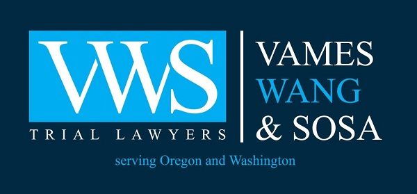 Company Logo For Vames, Wang &amp; Sosa, Trial Lawyers'