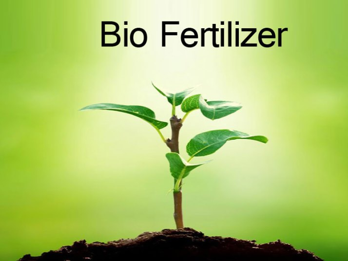 Bio Fertilizers Market'