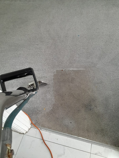 Company Logo For Star Carpet Cleaning'