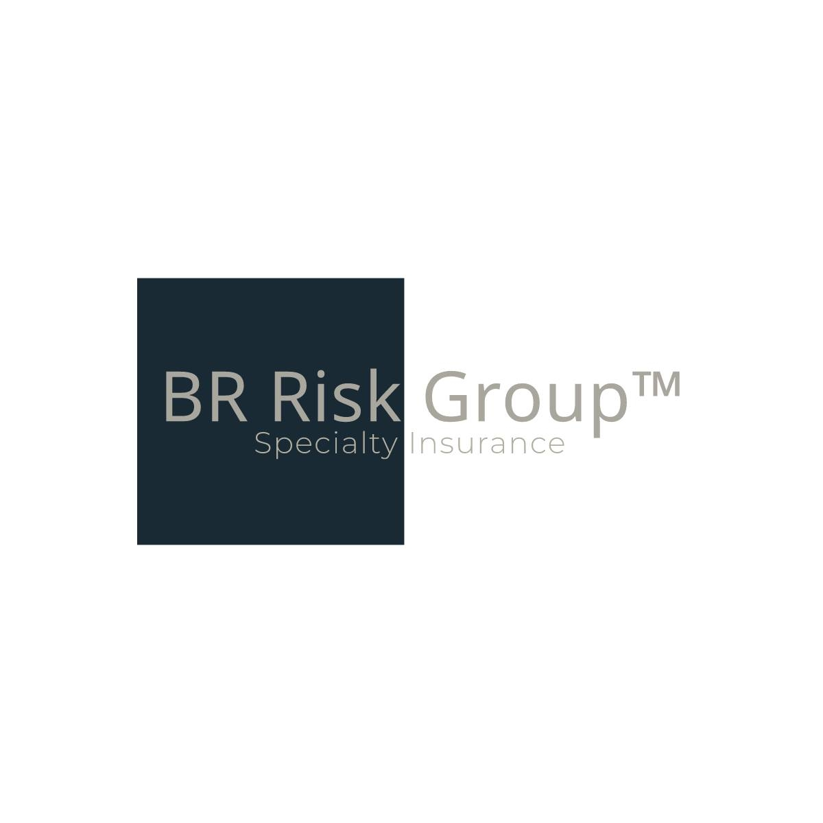 Company Logo For BR Risk Group Specialty Insurance'