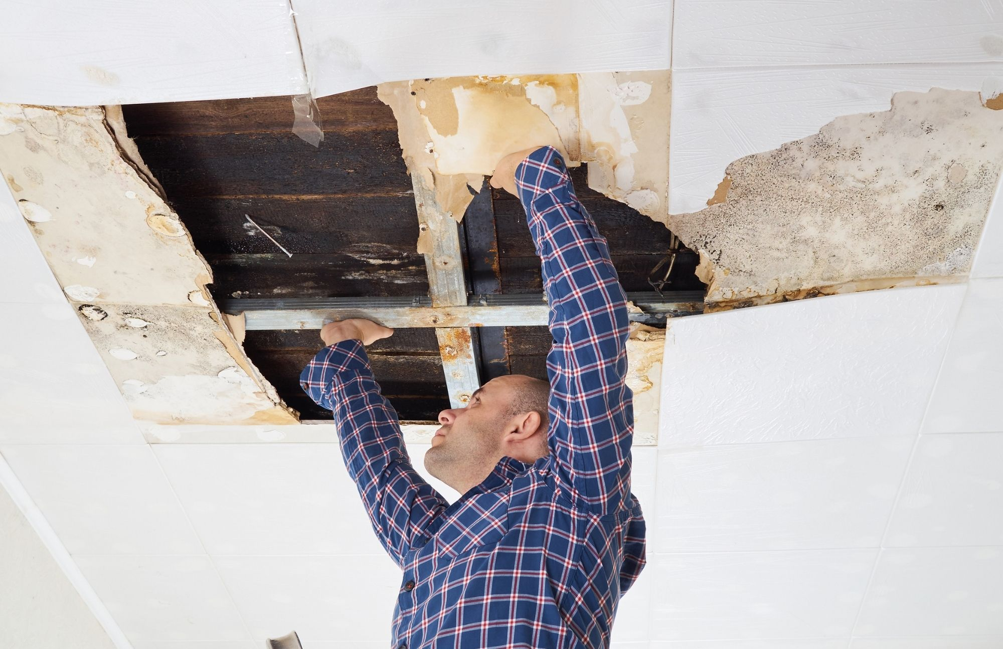 Company Logo For Mold Remediation Chandler Answers'