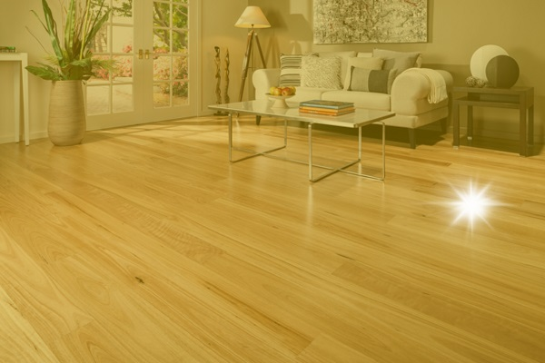 Company Logo For Hardwood Refinishing Cedar Rapids IA'